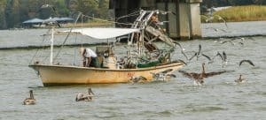 boot met visser en vogels Mobile Alabama