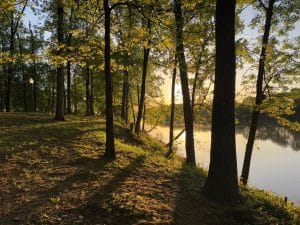 Park bomen rivier Tuscaloosa Alabama