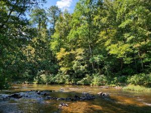 Rivier bos Tuscaloosa Alabama natuur