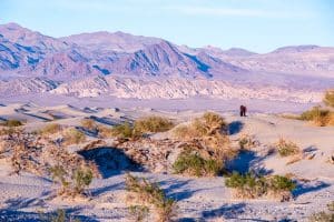 Mesquite Flat Sand Dunes in Death Valley National Park met bezoekers