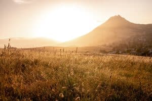 San Luis Obispo heuvels in gouden lilcht