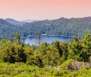 Bergmeer in Sequoia National Park met bos