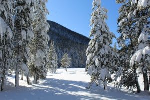 Besneeuwd bos en bergen South Lake Tahoe Californië