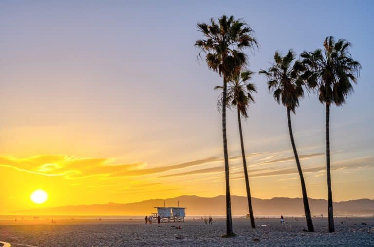 Zonsondergang op Venice Beach met palmbomen