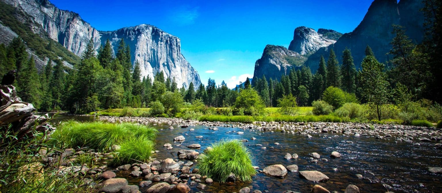 Rivier en groene vallei Yosemite National Park Californië