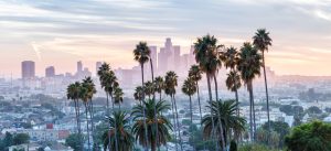 Californië strand palmbomen kust
