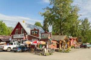 downtown talkeetna winkels straatbeeld