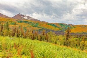 herfst landschap heuvels talkeetna alaska