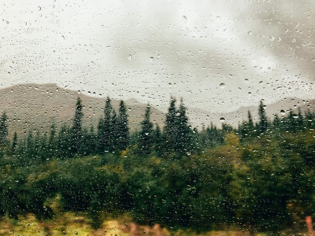 regen raam natuur talkeetna alaska