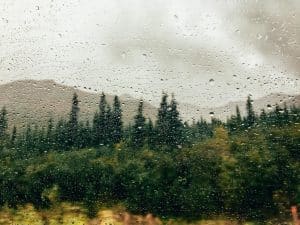 regen raam natuur talkeetna alaska