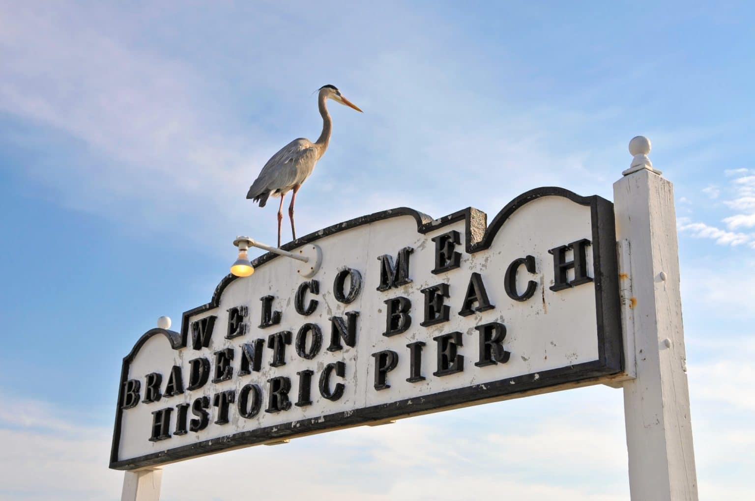 Reiger op welkomstbord bij Bradenton Beach Historic Pier in Florida