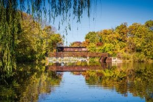 Park met brug en herfstkleuren in Springfield Missouri