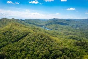 Daniel Boone National Forest tijdens autorondreis Kentucky