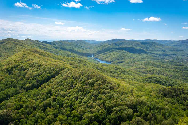 Daniel Boone National Forest tijdens autorondreis Kentucky