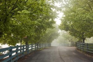 Landweg met bomen en hekken in Frankfort Kentucky