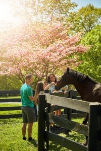 Bezoekers bij paard op paardenboerderij in Lexington Kentucky