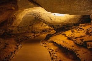 Wandelpad in Mammoth Cave tijdens autorondreis Kentucky
